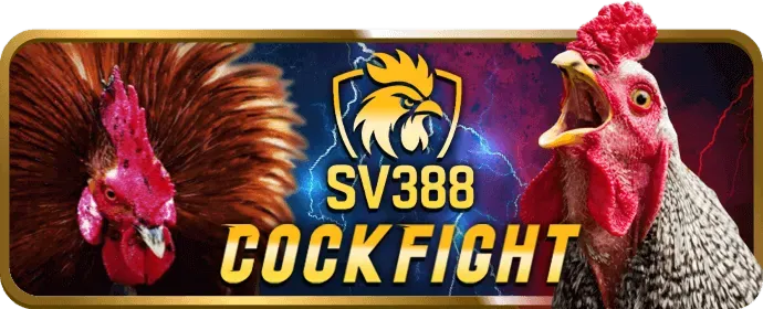 Bắt đầu chơi game bài tại bcx88.com